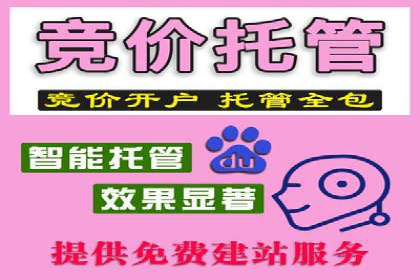 提升SEM运营效果：经典案例解析与策略